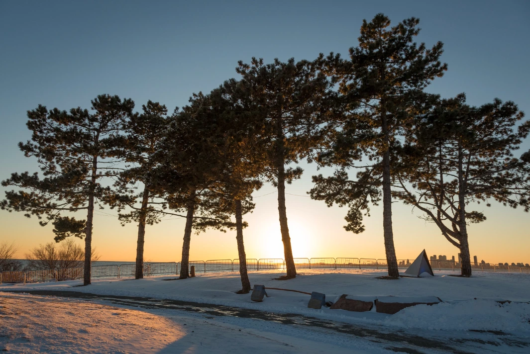 The Best Things to Do in Toronto This Week (January 6th11th, 2025)